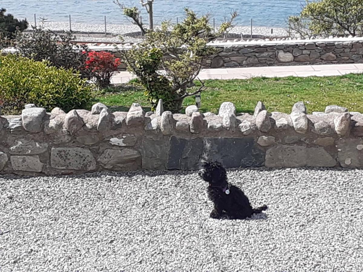 Talarfor Barmouth Exterior foto