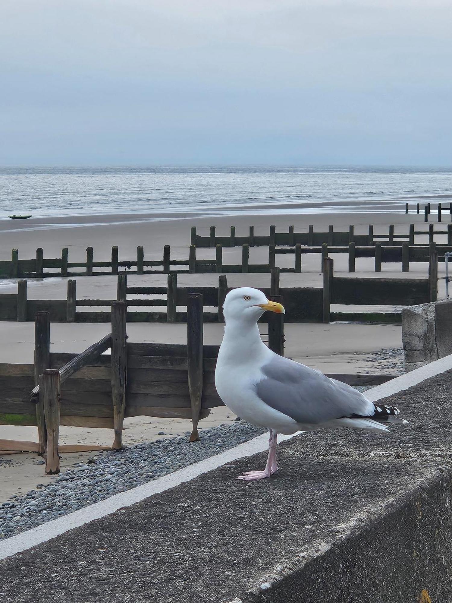 Talarfor Barmouth Exterior foto